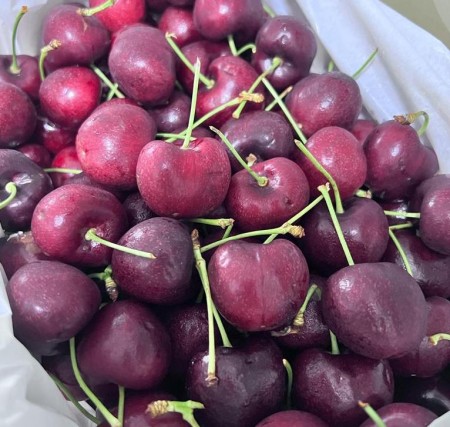 Tazmanian Red Cherries ($50/kg)