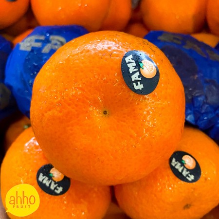 South African Mandarin Orange (5pc/pkt)