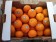 Mandarin Orange Egypt - $4/5pcs