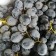 SA Black Grapes - $12/kg